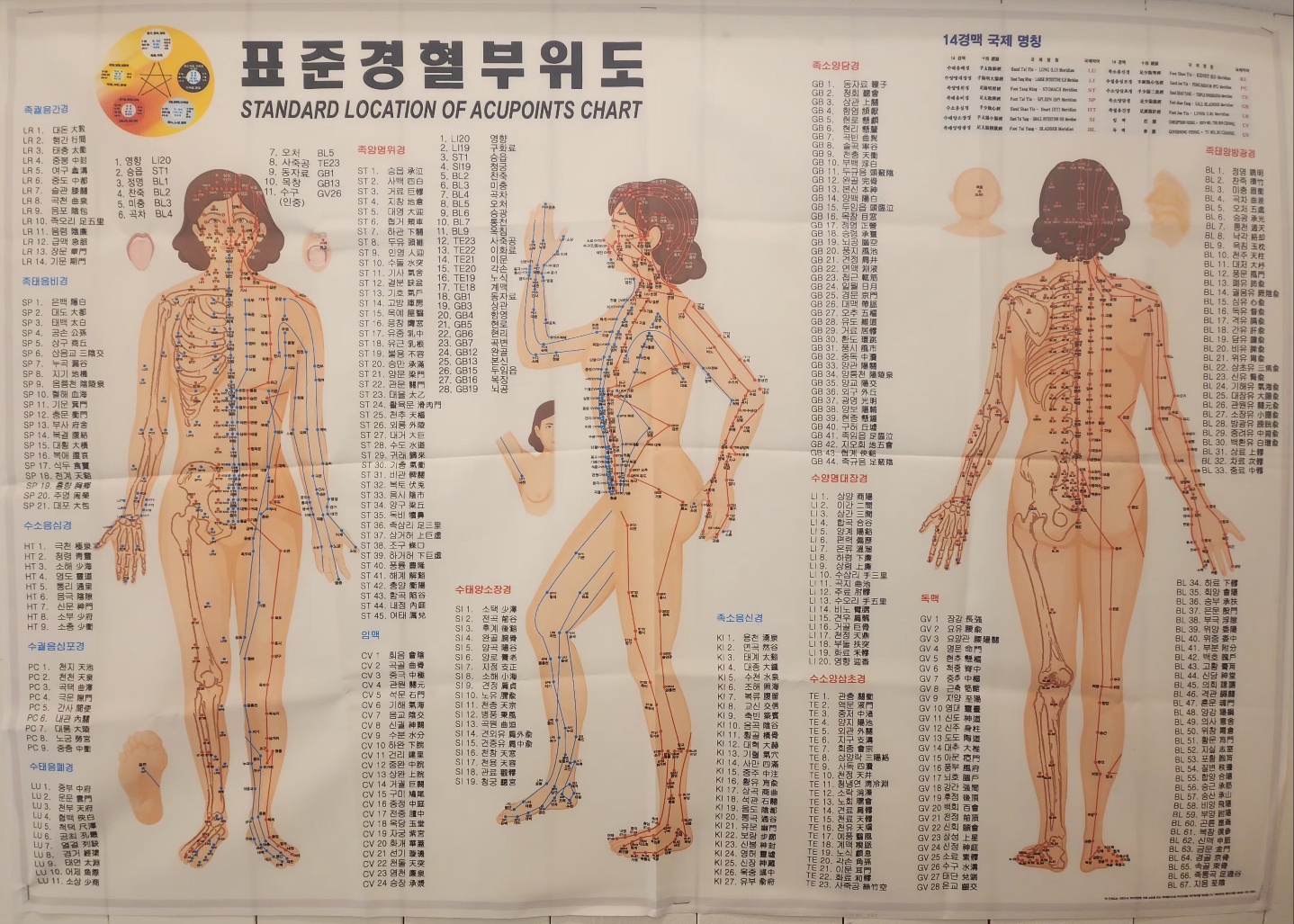 3067302113_RyLbtNfZ_99fa25abb1ff434cdd8658e11514a0a360679694.jpg 이미지크게보기
